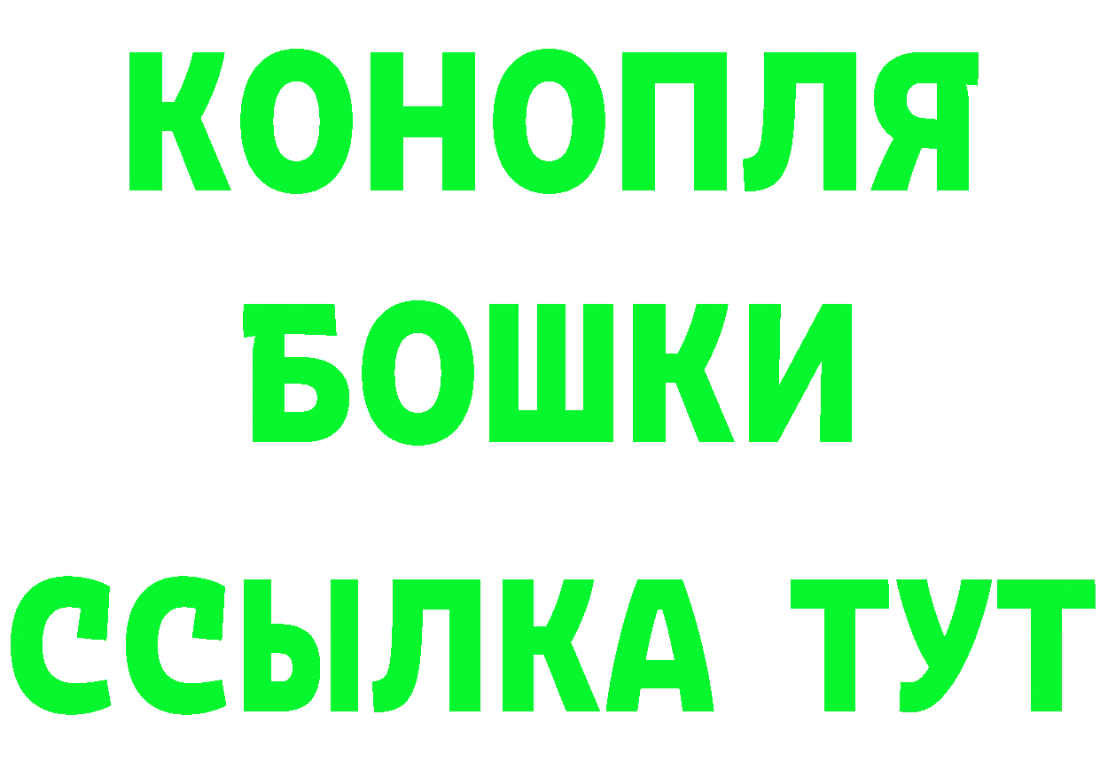 ТГК концентрат как войти площадка MEGA Кудрово